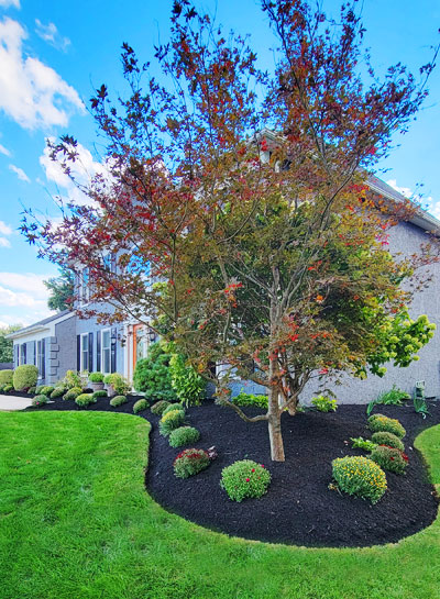 South Jersey Landscaping | Hector Landscaping LLC
