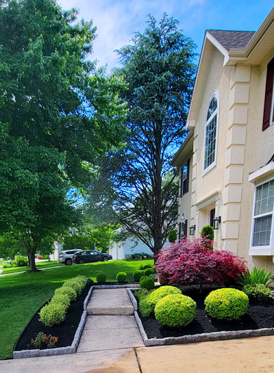 South Jersey Landscaping | Hector Landscaping LLC