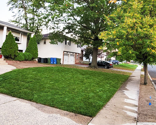 South Jersey Lawn Care | Hector Landscaping LLC