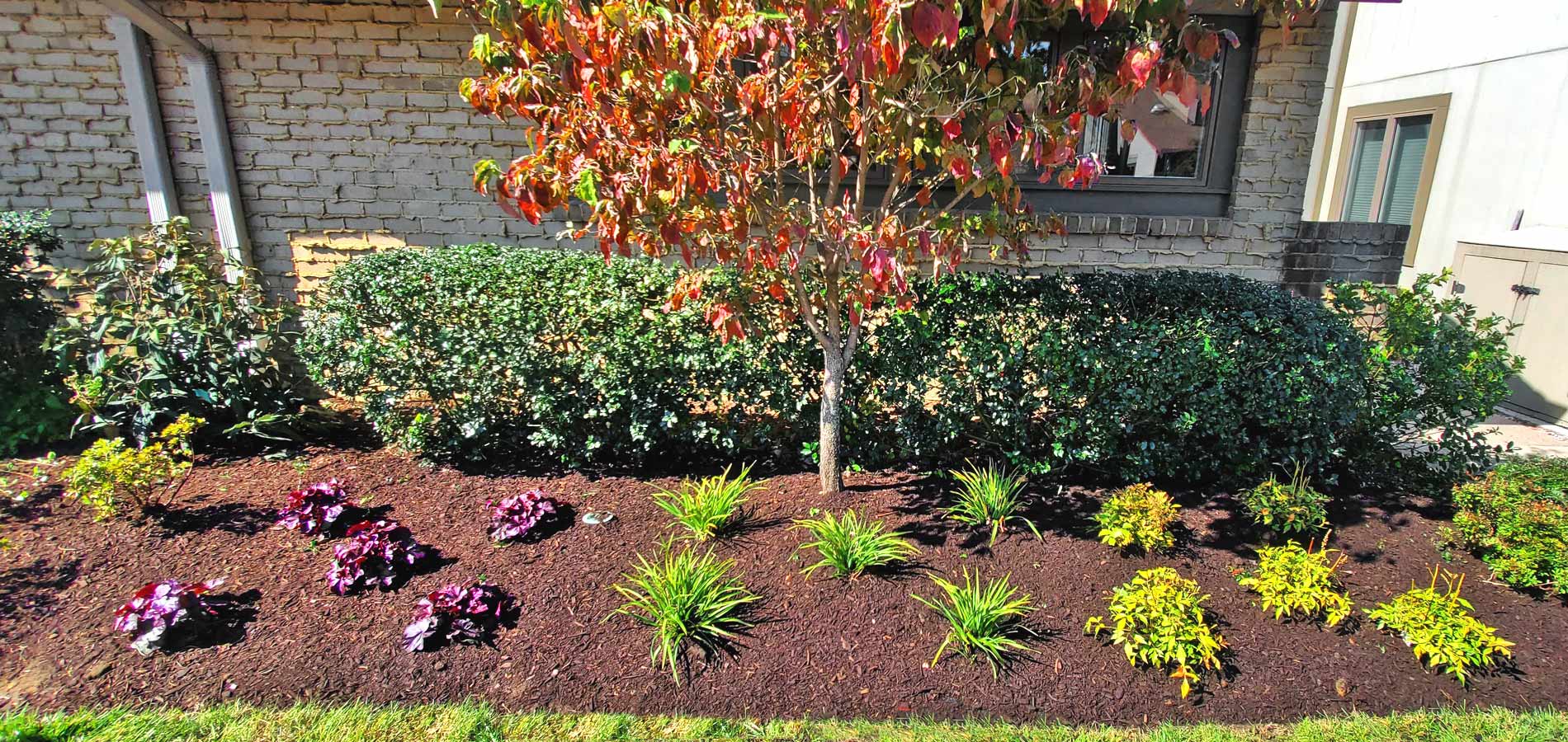 South Jersey Landscaping, Lawn Care, Tree Service | Hector Landscaping LLC
