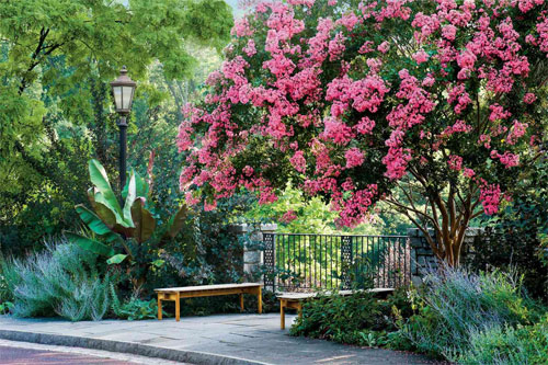 Tree Service in Hainesport NJ 08036 | Hector Landscaping LLC